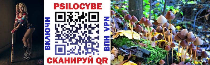 Галлюциногенные грибы Psilocybe  Чистополь 
