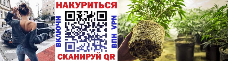 Шишки марихуана White Widow  наркотики  Чистополь 
